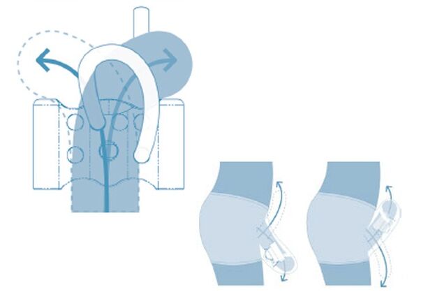 adolescent reproduktive System